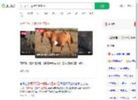 男子买马一觉醒来1匹变2匹_360搜索