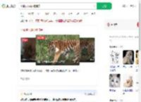 小猫误入虎园被捕食_360搜索