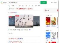 8万羽和平鸽飞向天空_360搜索