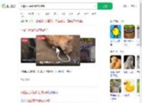 小猫生吞活蛇像在吃辣条_360搜索