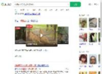 动物园工作人员被狮群咬死_360搜索