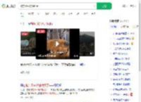 被东风5C烧饼馋到了_360搜索