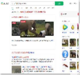 男子为自拍被野象抽打踩死_360搜索