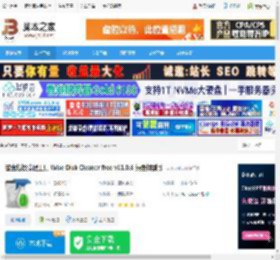 Wise Disk Cleaner下载 磁盘垃圾清理工具 Wise Disk Cleaner free v11.0.6 绿色特别版 下载-脚本之家
