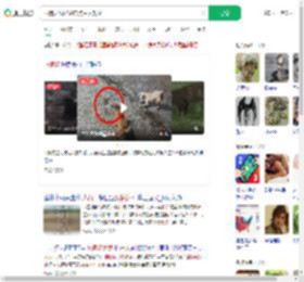 两狗大战眼镜蛇 狗主人观战_360搜索