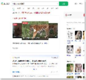 小猫误入虎园被捕食_360搜索