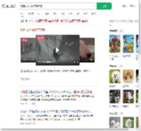 狗狗雨天叼雨布盖芝麻_360搜索