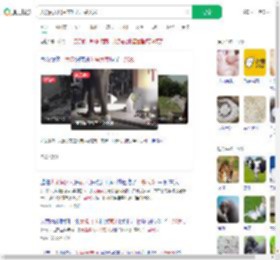 大象闯入居民家吃光一袋大米_360搜索