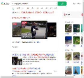 扬子鳄追击黑鱼被意外钓起_360搜索