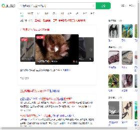 巴西蝙蝠体内发现冠状病毒_360搜索