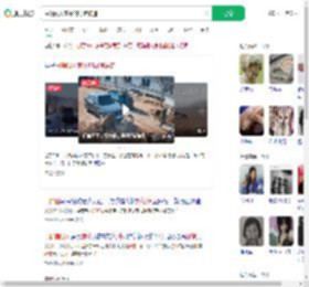 围观闯入家中的野猪被追_360搜索