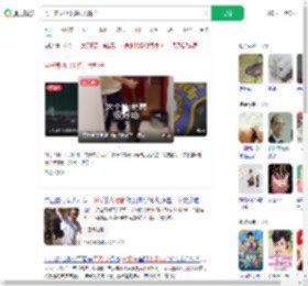 男子养两只十多斤大耗子_360搜索