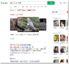 悬赏3千元寻走失灰鹦鹉_360搜索