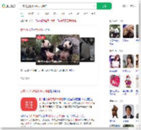 日本将送还最后两只大熊猫_360搜索