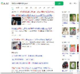 宠物店暴力摔狗致狗终身残疾_360搜索