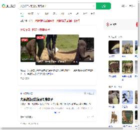 大象被自己的象牙刺穿鼻子_360搜索